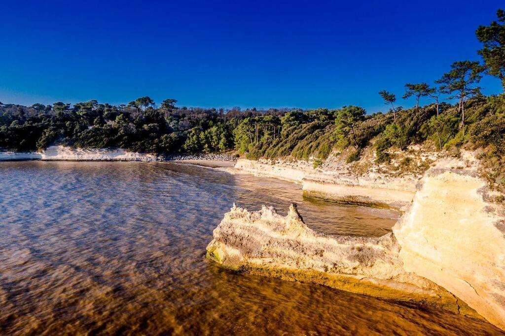 Entre Plage Et Foret - Agreable T3 Saint-Georges-de-Didonne Exteriér fotografie